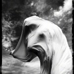 Art Nude Photography of Silk Shapes in Colioure - Flickering I Roam...